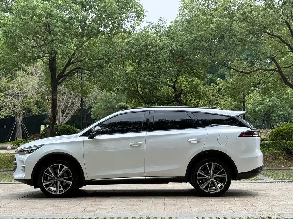 BYD Tang New Energy 2020 — фото 19