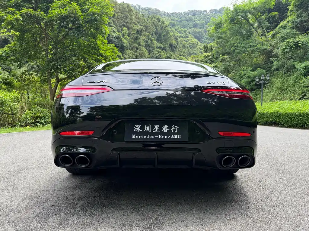 Mercedes-Benz AMG GT 2025 — фото 4