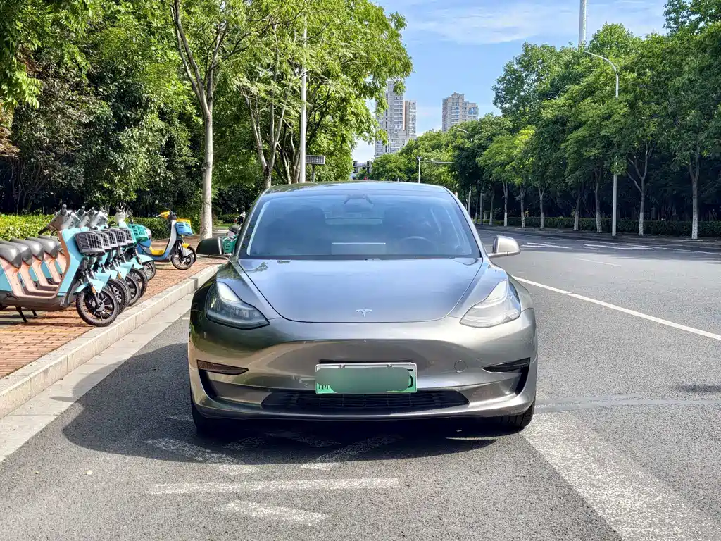 Tesla Model 3 2020 — фото 2