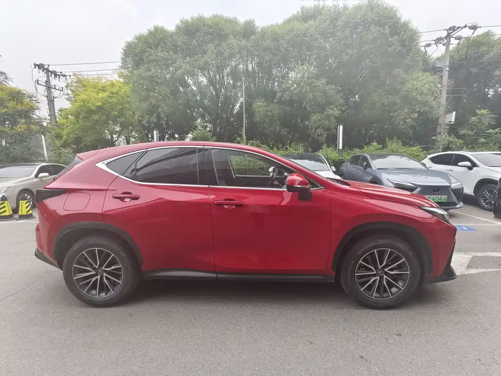 Lexus NX New Energy 2022 — фото 3