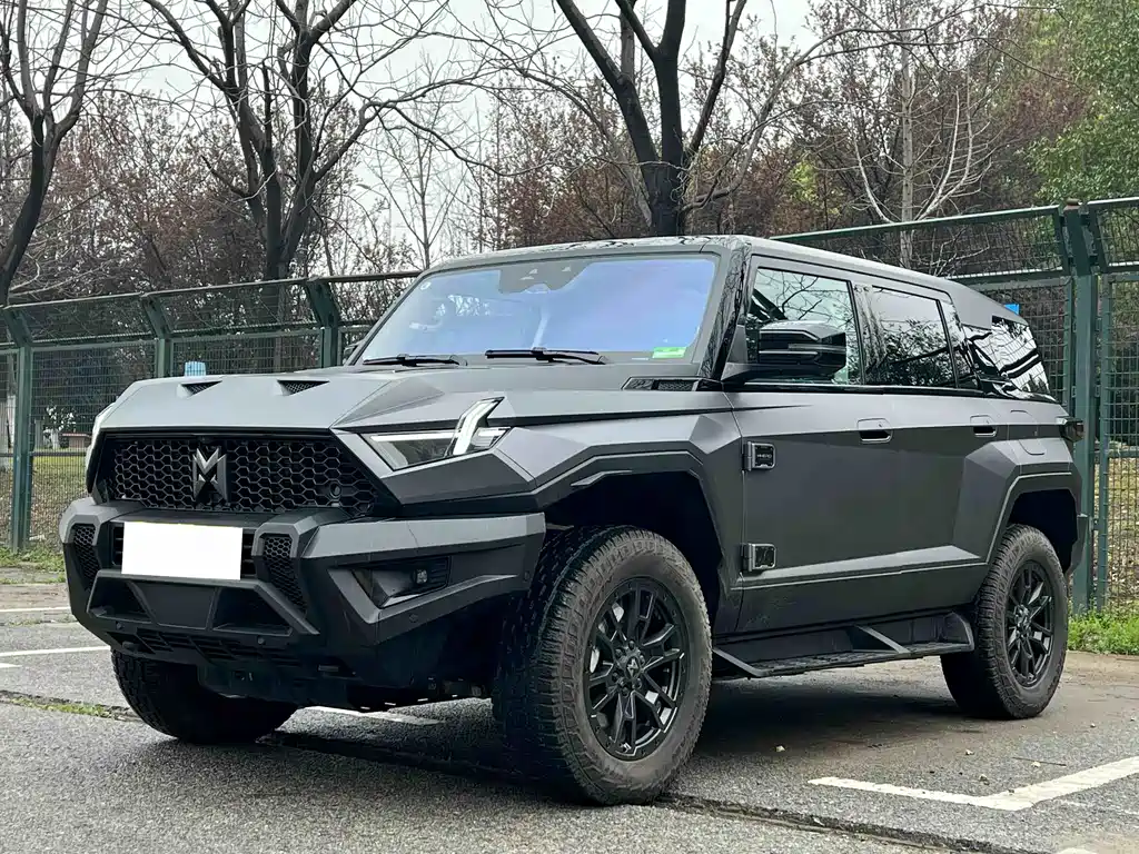 Mengshi 917 2025