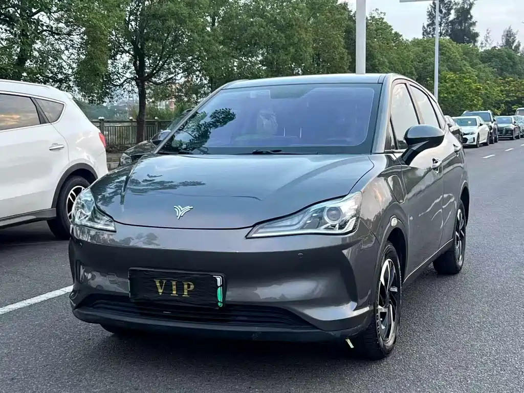 Neta V 2021