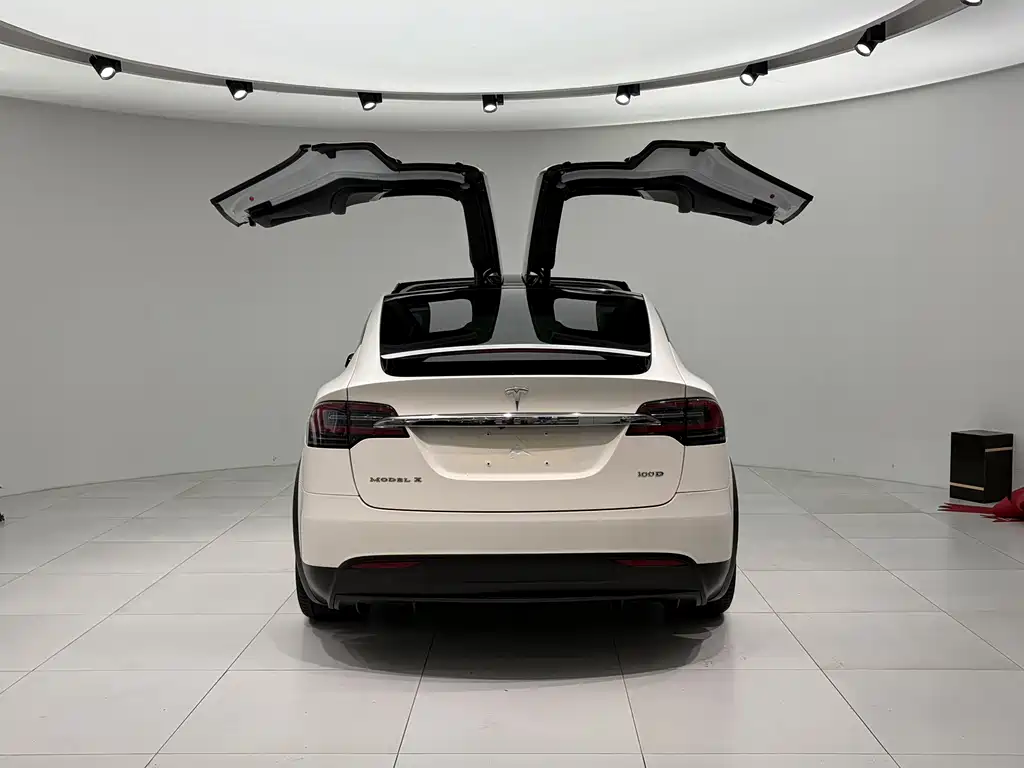 Tesla Model X 2018 — фото 4