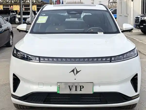 Dongfeng e008 2025