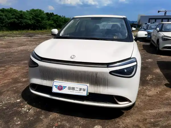 Dongfeng Nano 01 2024