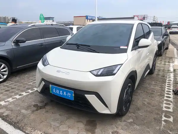 BYD Seagull 2024