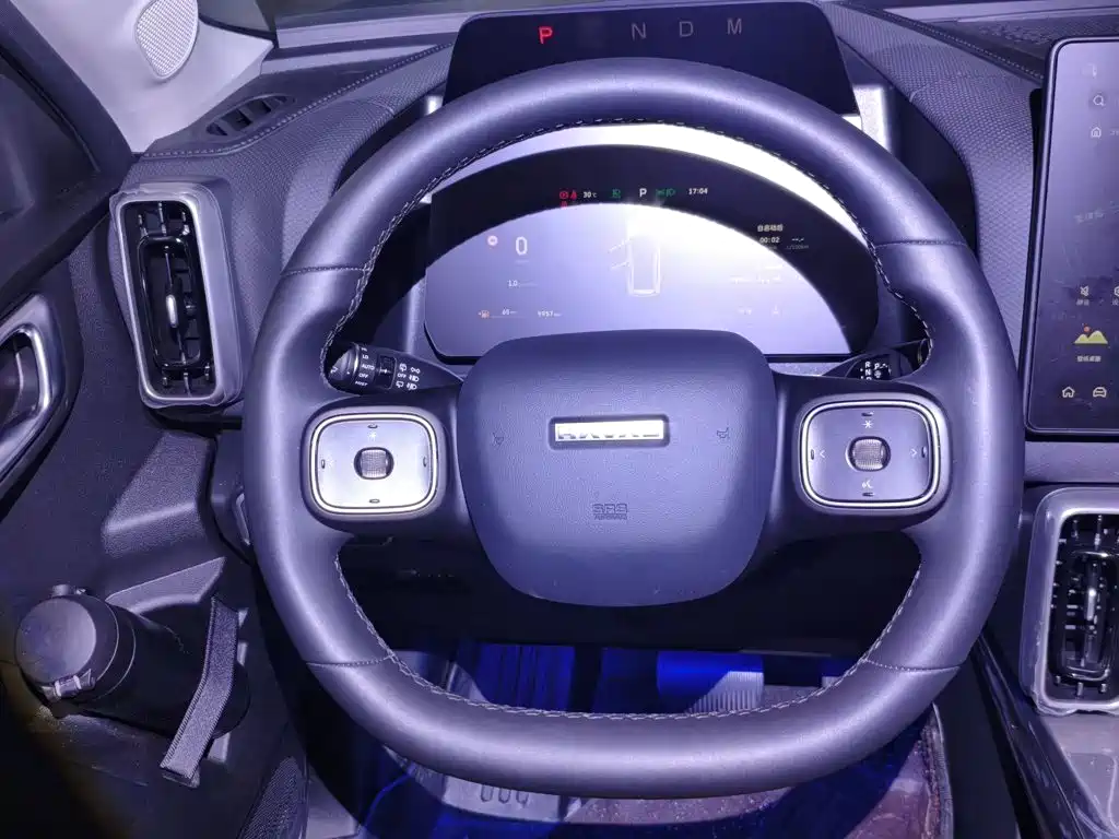 Haval Big Dog 2025 — фото 11