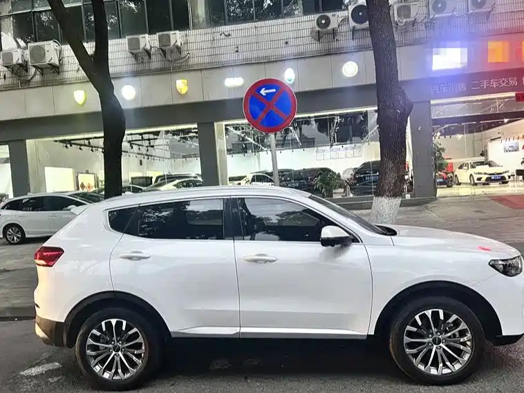 Haval H6 2019 — фото 4