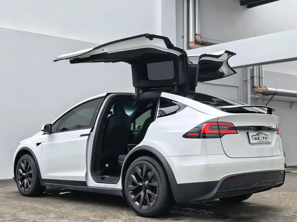 Tesla Model X 2024 — фото 9