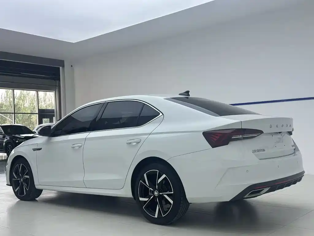 Skoda Octavia 2024 — фото 4