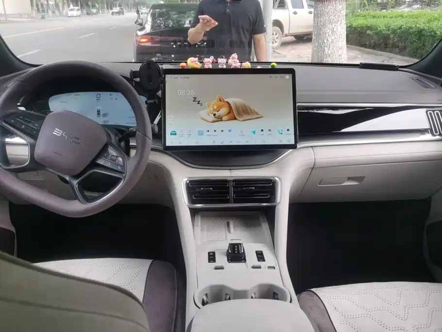 BYD Song PLUS New Energy 2025 — фото 12