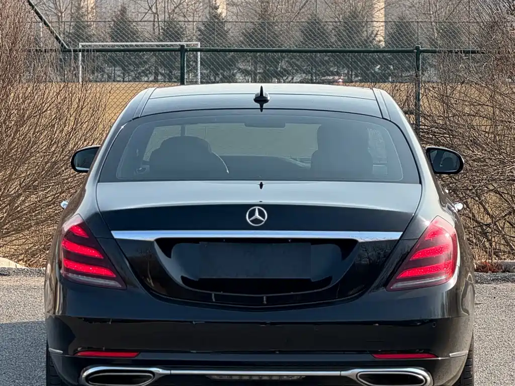 Mercedes-Benz S-Class 2019 — фото 3