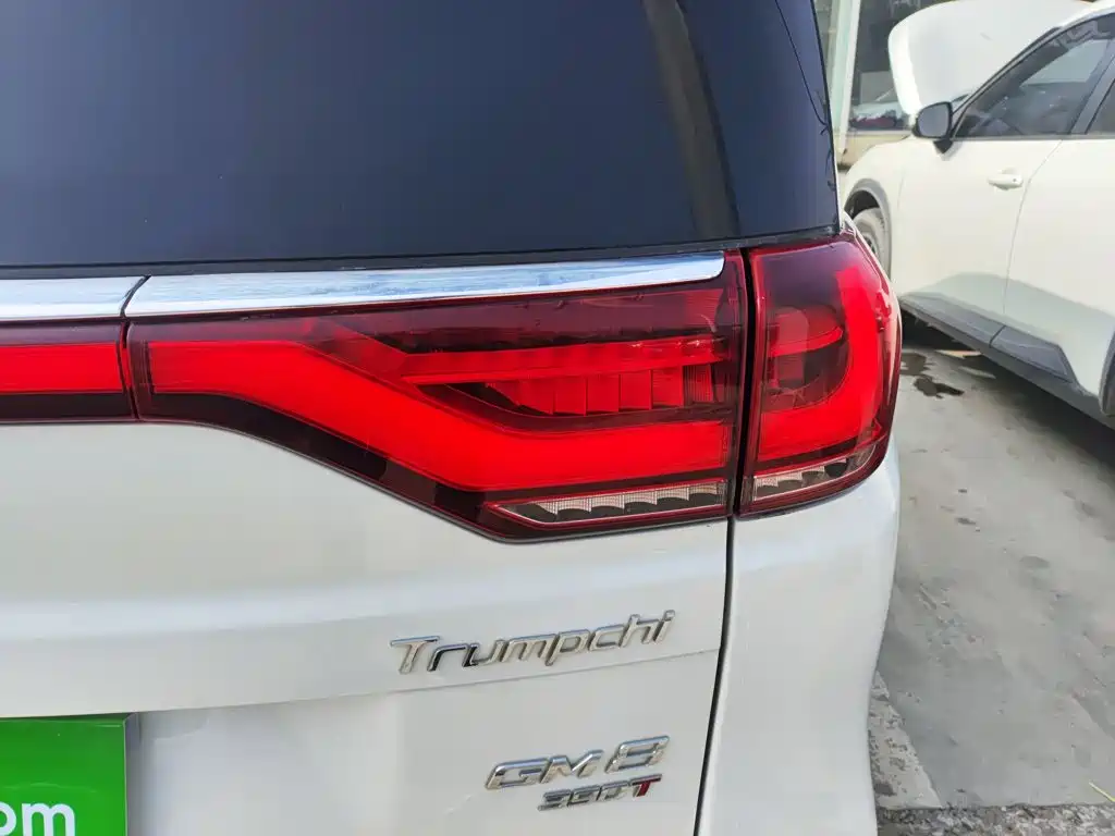 GAC Trumpchi M8 2020 — фото 24