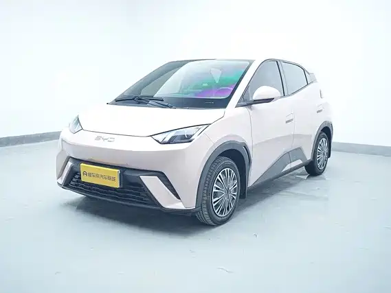 BYD Seagull 2024