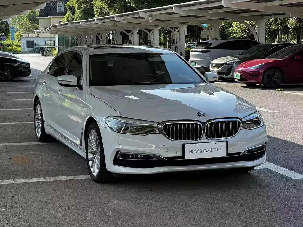 BMW 5 Series New Energy 2019