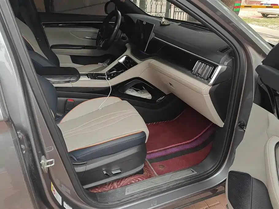 BYD PLUS New Energy 2023 — фото 8