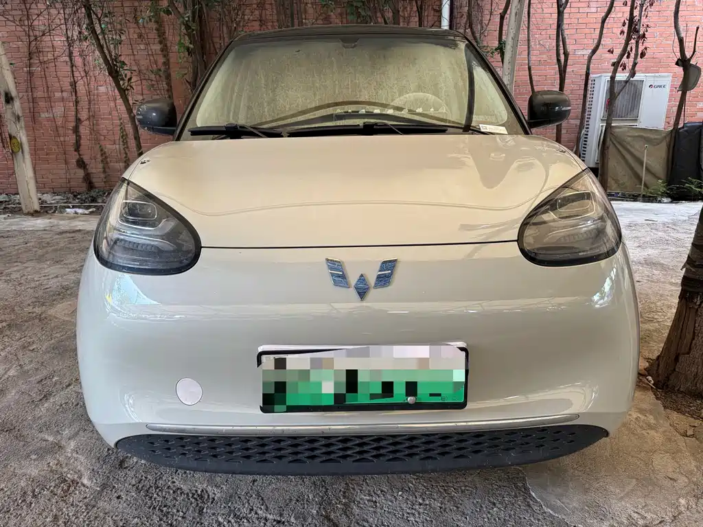 Wuling Bingo 2024