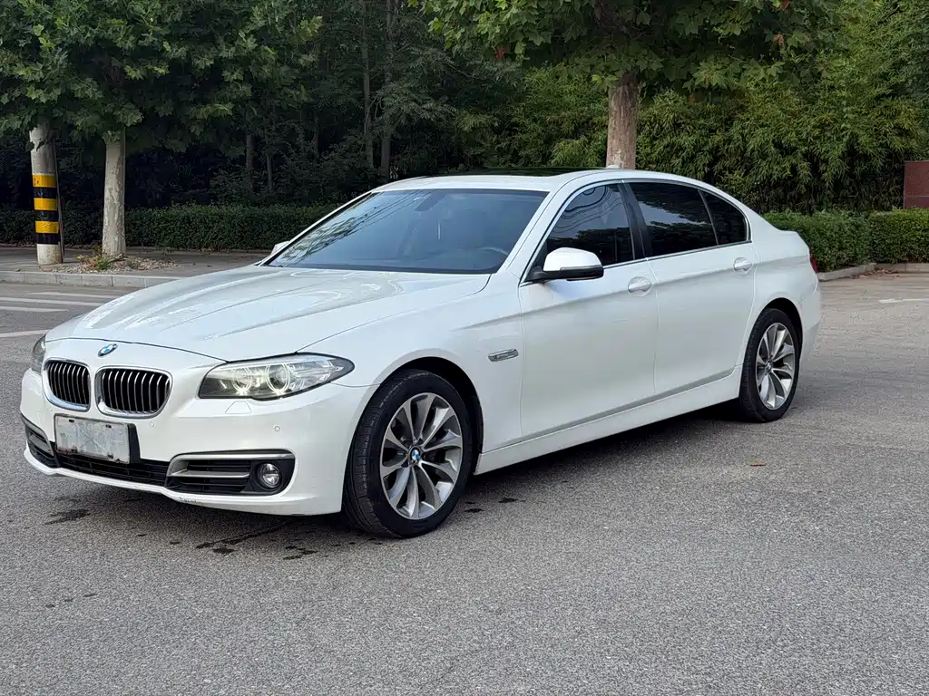 BMW 5 Series 2015