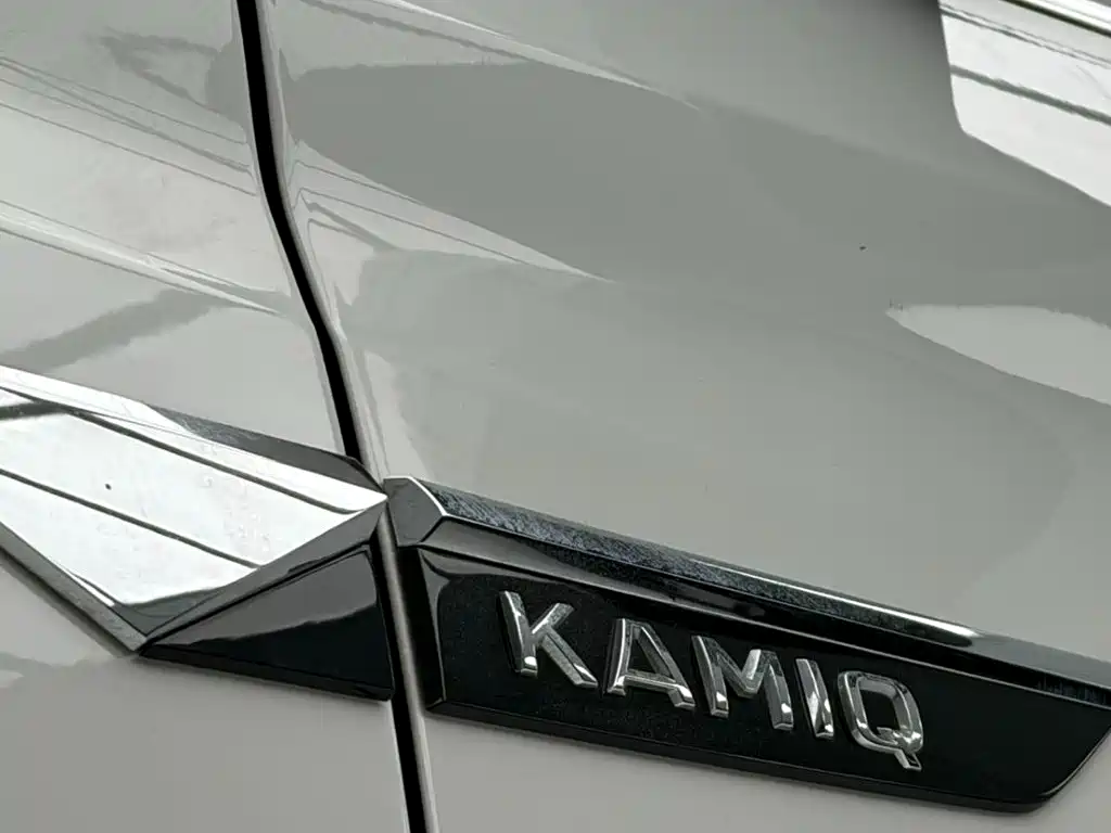 Skoda Kamiq 2022 — фото 12