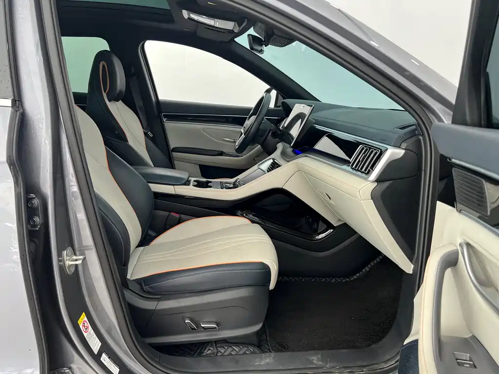 BYD PLUS New Energy 2023 — фото 11