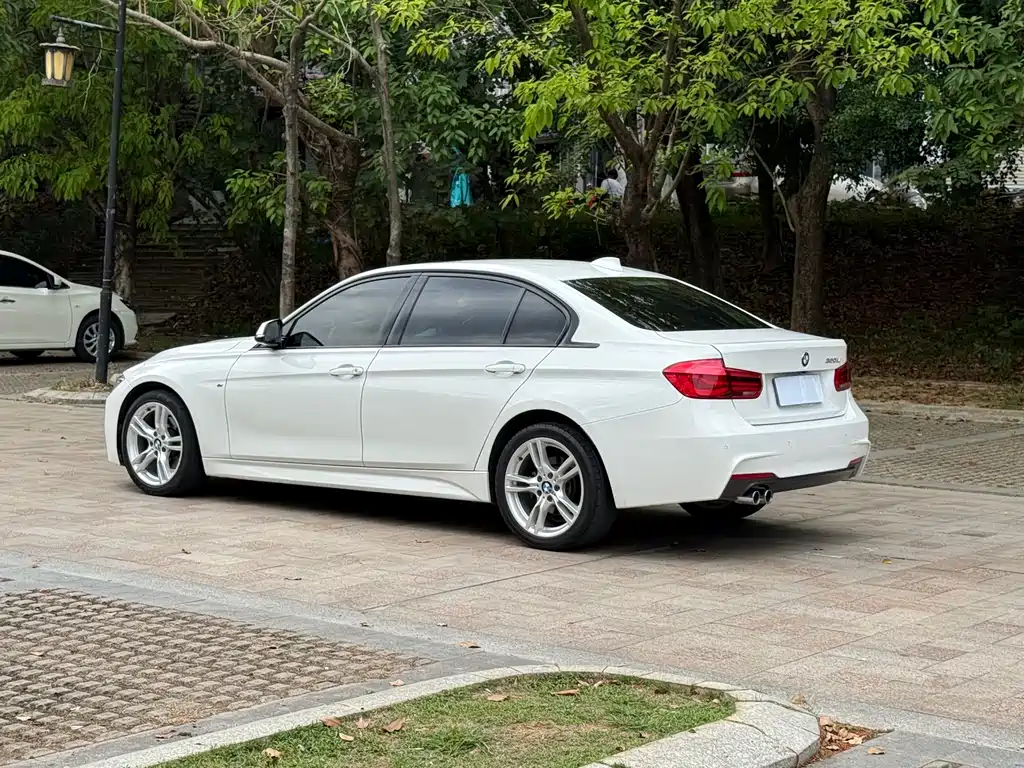 BMW 3 Series 2017 — фото 13