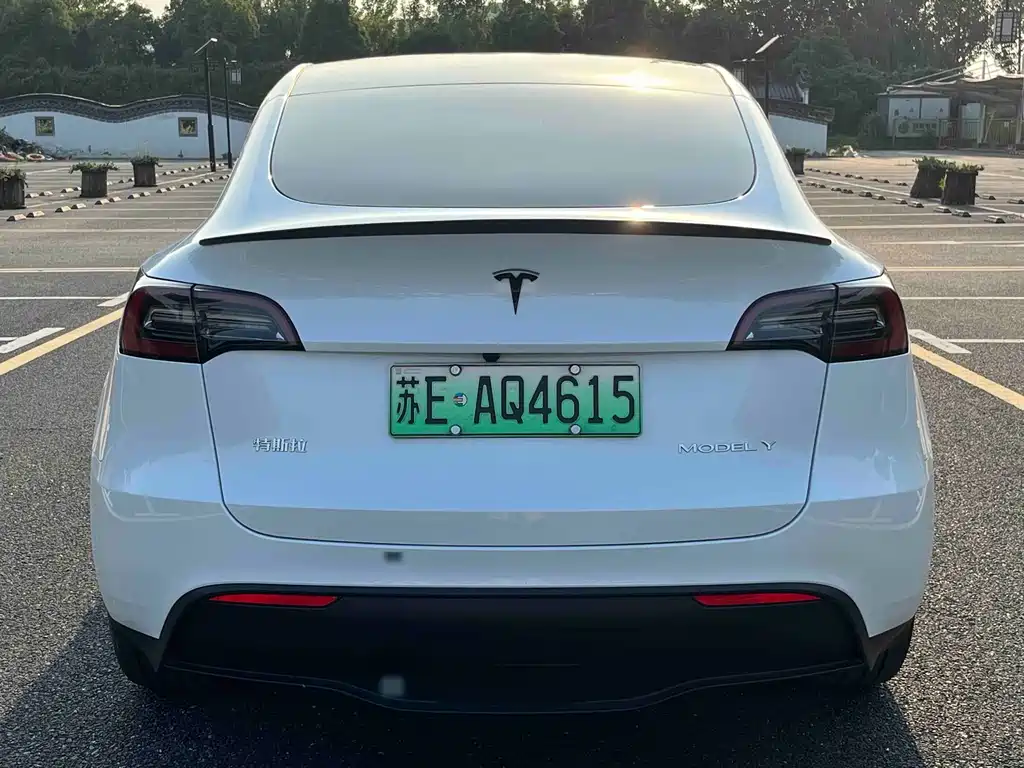 Tesla Model Y 2024 — фото 9