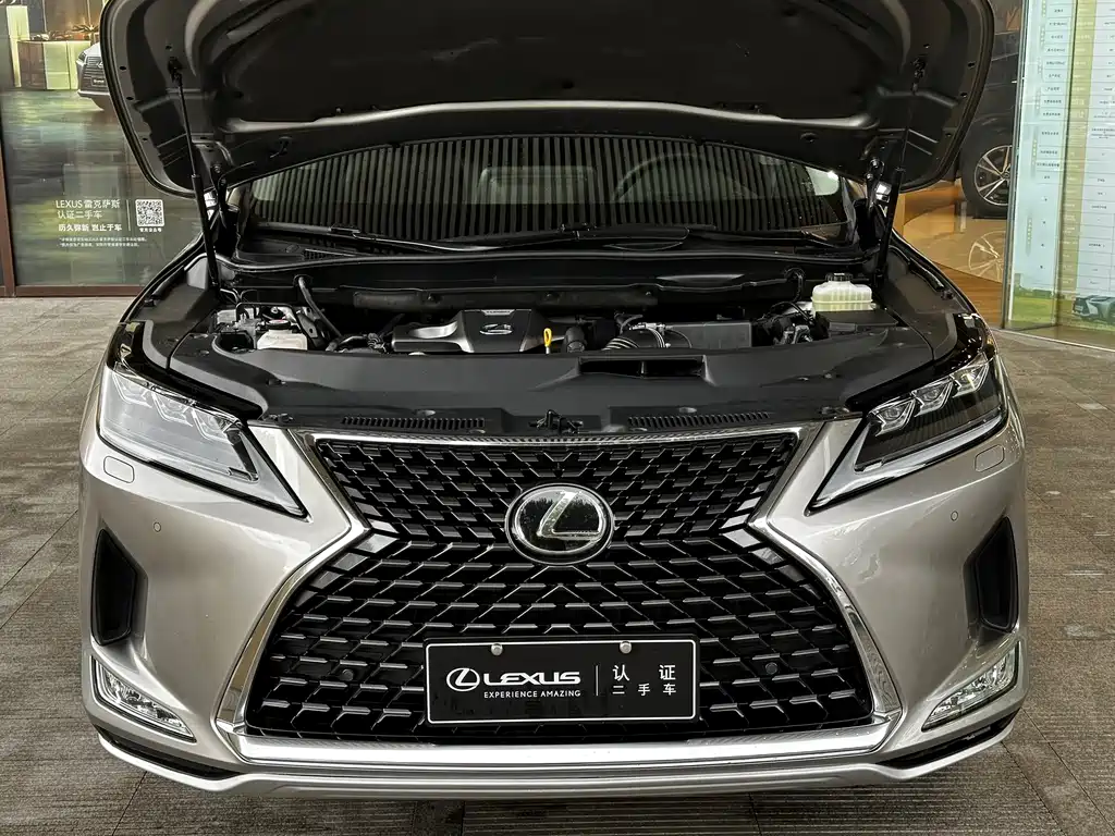 Lexus RX 2021 — фото 14