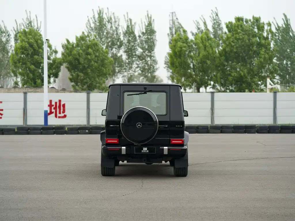 Mercedes-Benz G-Class 2018 — фото 10