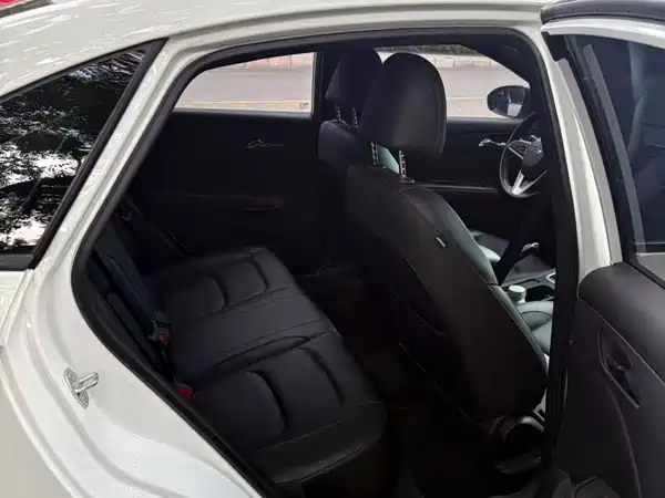 Chevrolet Monza 2019