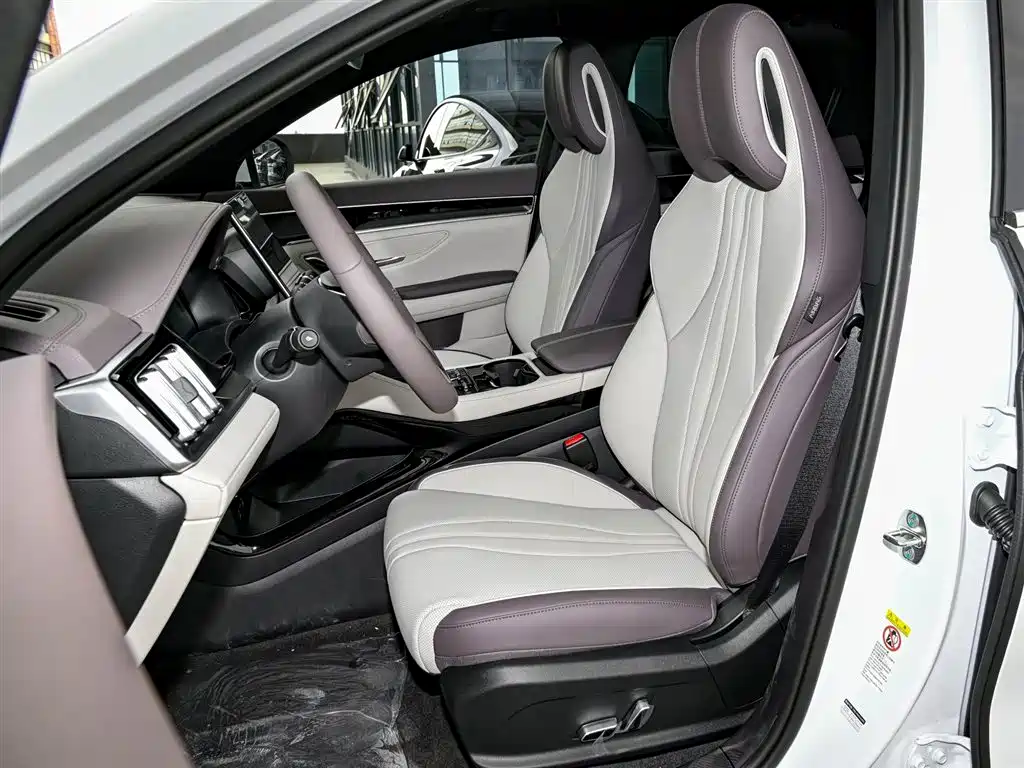 BYD PLUS New Energy 2025 — фото 10