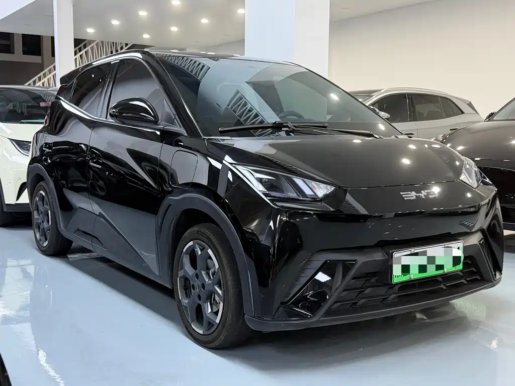 BYD Seagull 2024