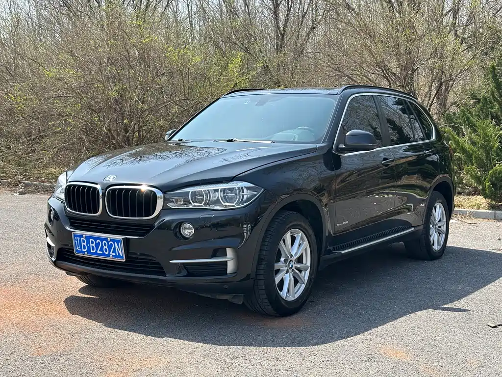 BMW X5 2017 — фото 1