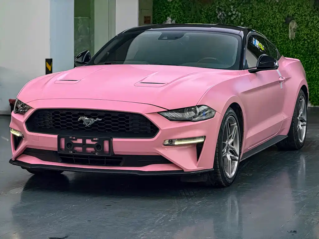 Ford Mustang 2019 — фото 1