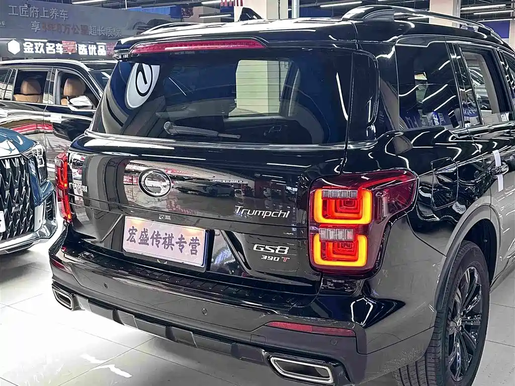 GAC Motor Trumpchi GS8 2021 — фото 9
