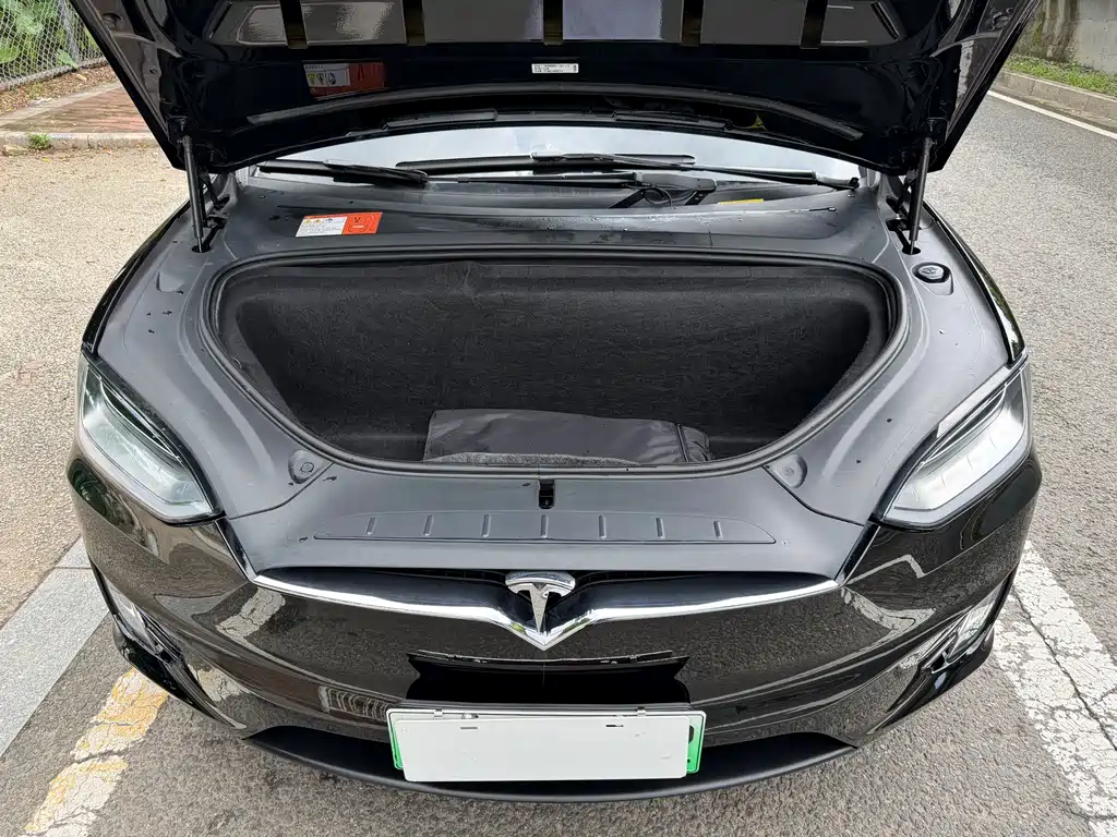 Tesla Model X 2019 — фото 5