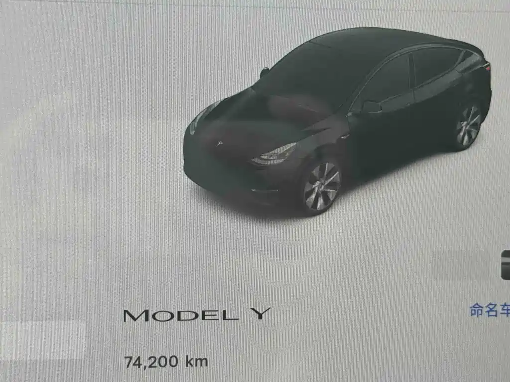 Tesla Model Y 2023 — фото 9