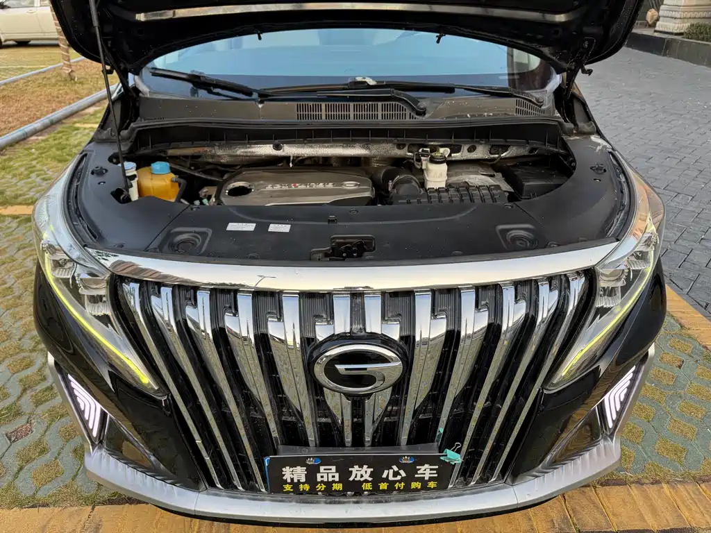 GAC Motor Trumpchi M8 2019 — фото 22