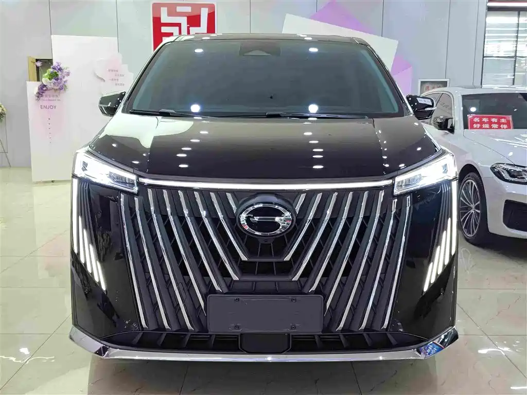GAC Motor Trumpchi M8 2024 — фото 2