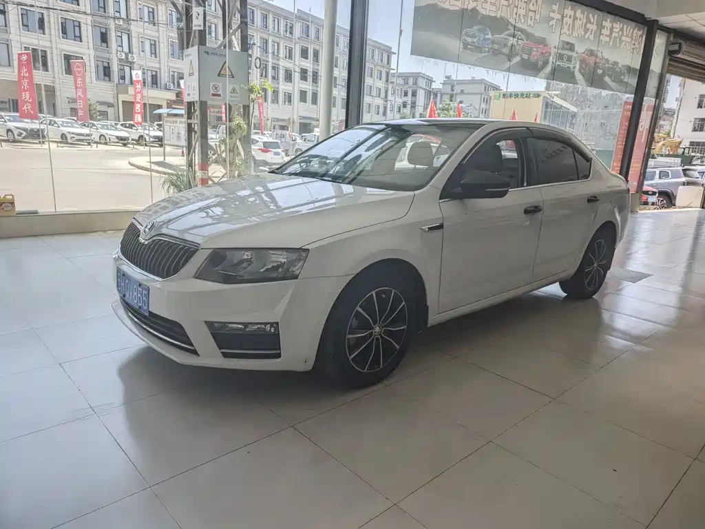 Skoda Octavia 2017 — фото 1