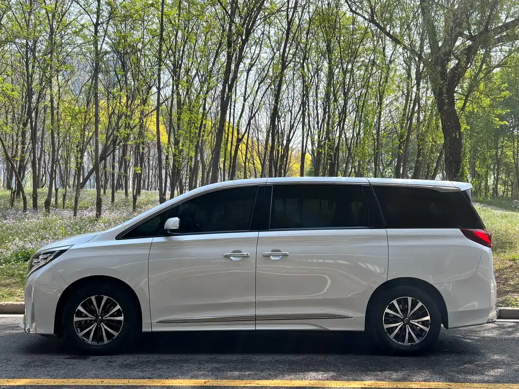 GAC Motor Trumpchi M8 2022 — фото 10