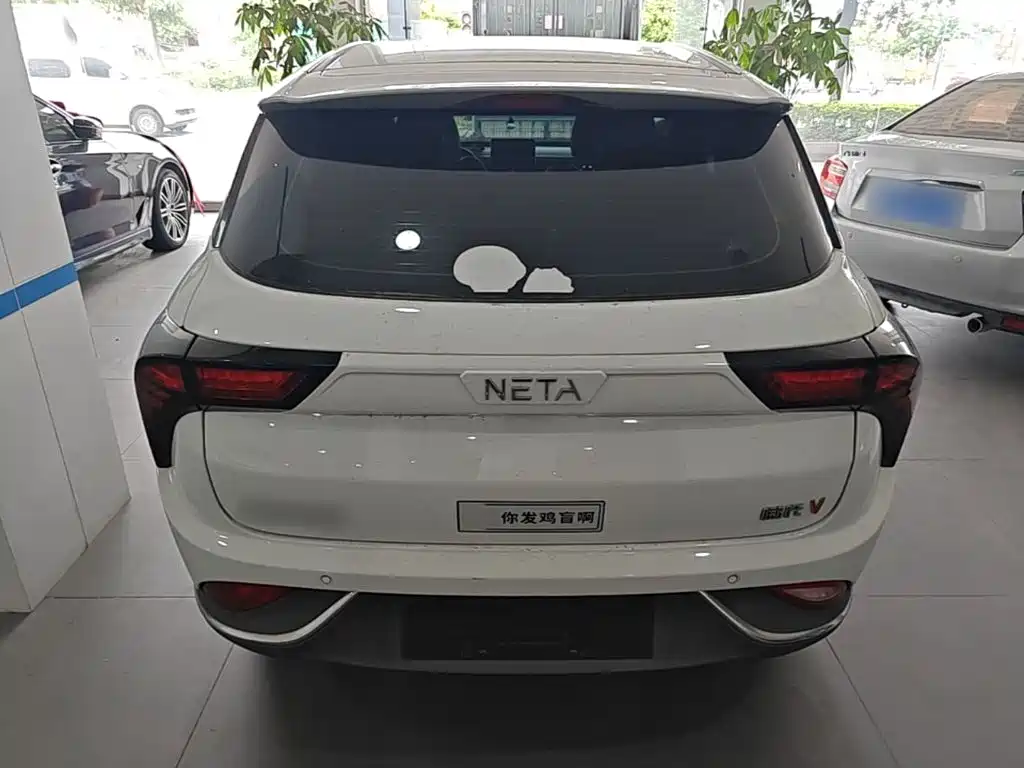 Neta V 2023