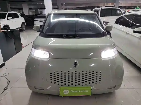 Ora White Cat 2021