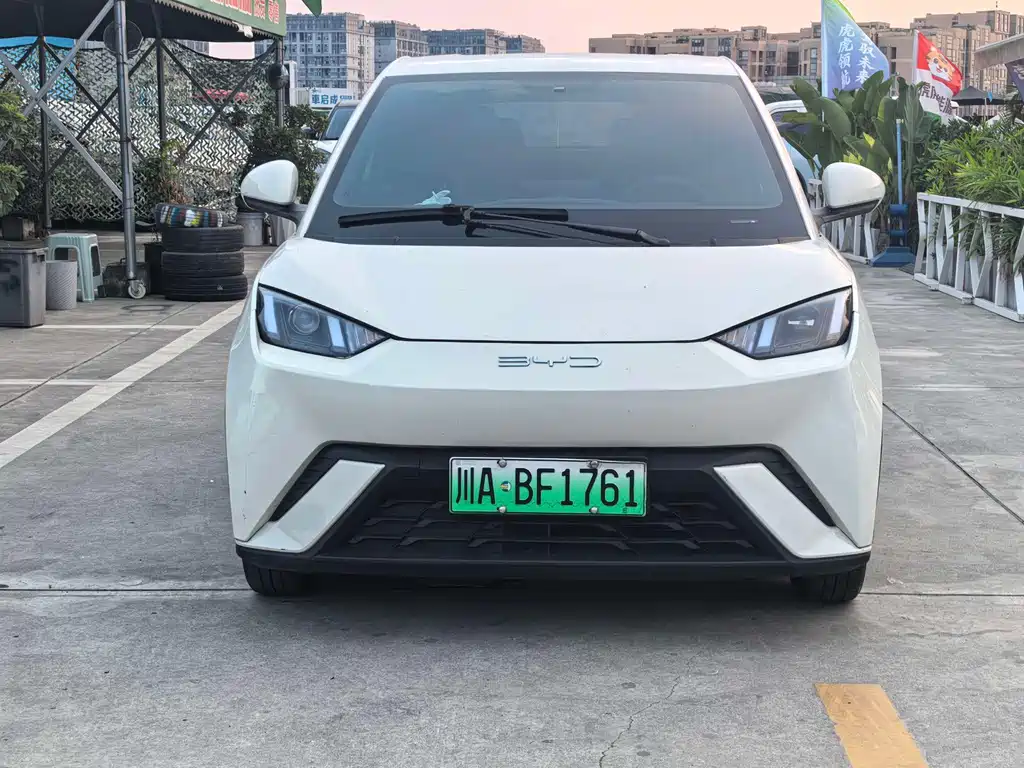 BYD Seagull 2024