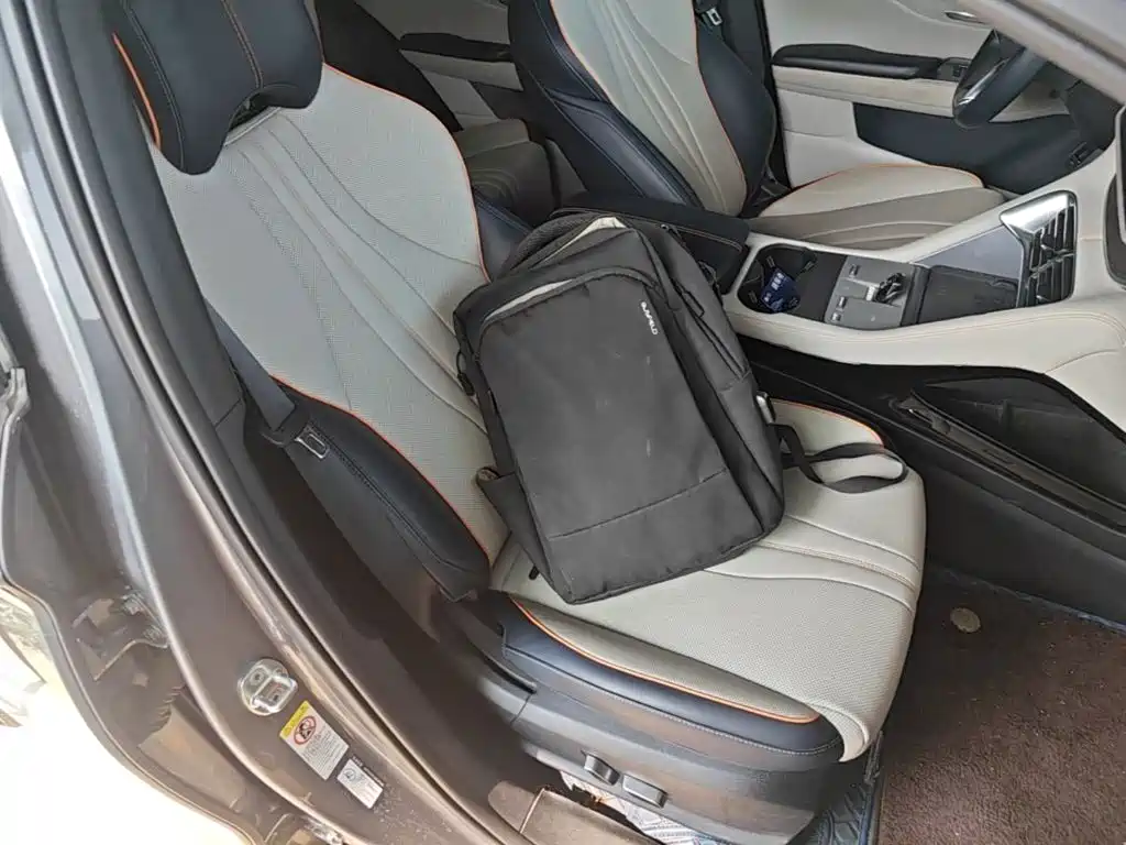 BYD Song PLUS New Energy 2023 — фото 25