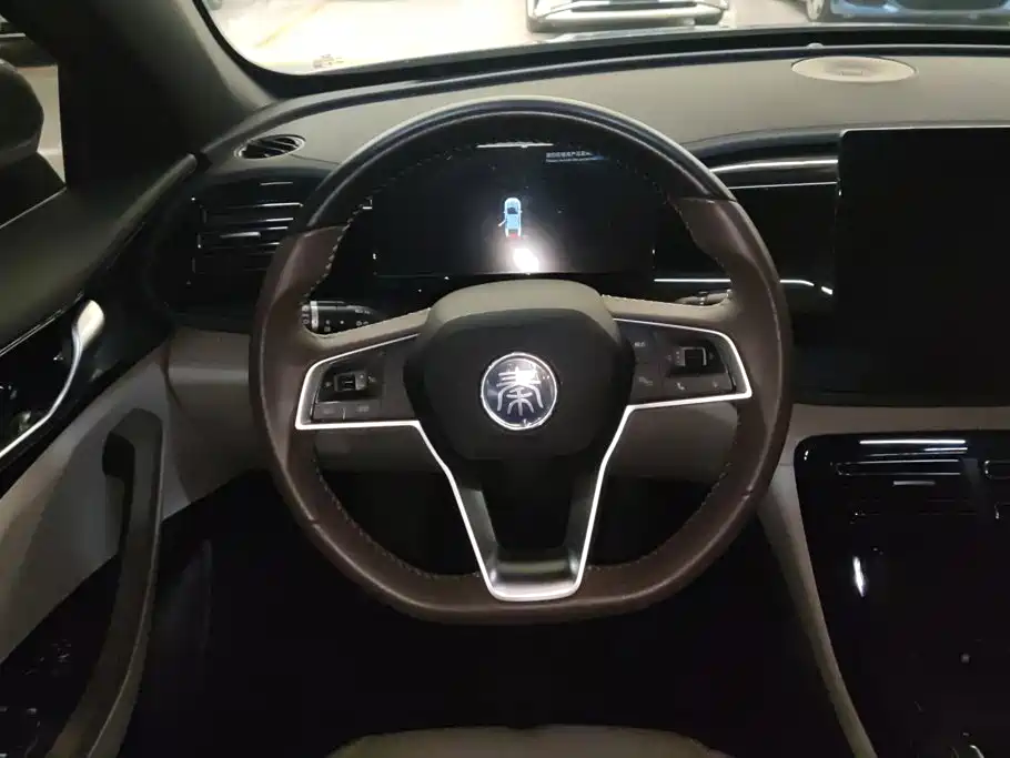 BYD Qin PLUS 2024 — фото 15