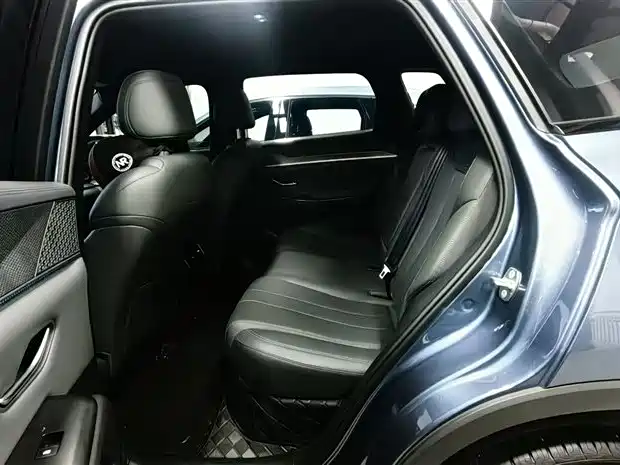 BYD Pro New Energy 2025 — фото 16