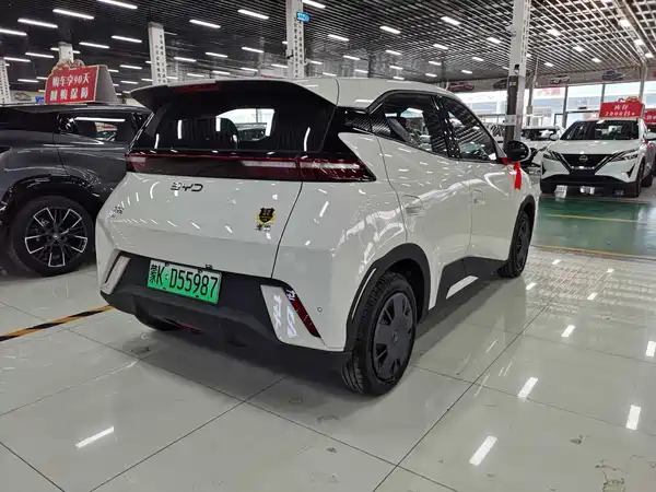 BYD Seagull 2026