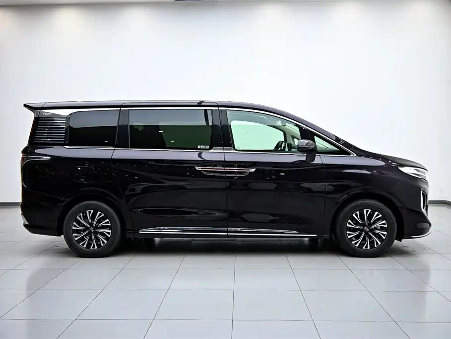 Hongqi HQ9 PHEV 2024 — фото 6