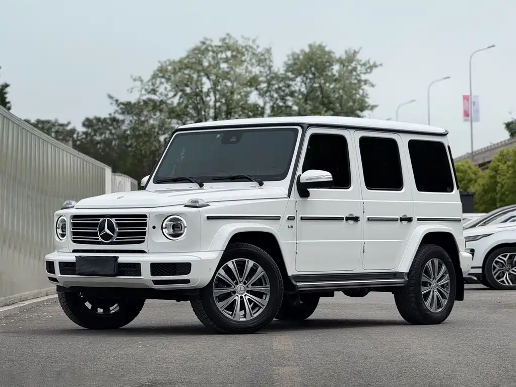Mercedes-Benz G-Class 2019 — фото 1
