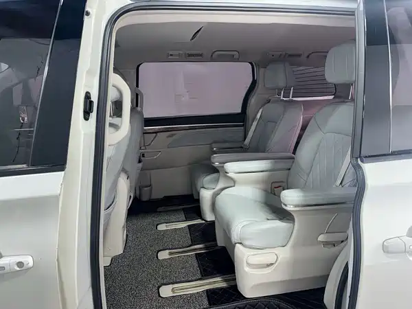 GAC Trumpchi M8 2019